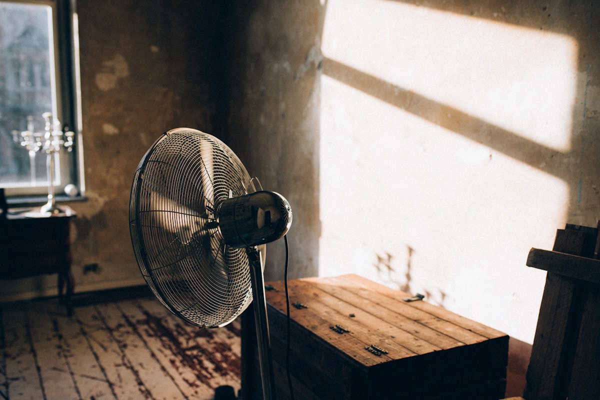 Mold Remediation service in Apopka, FL