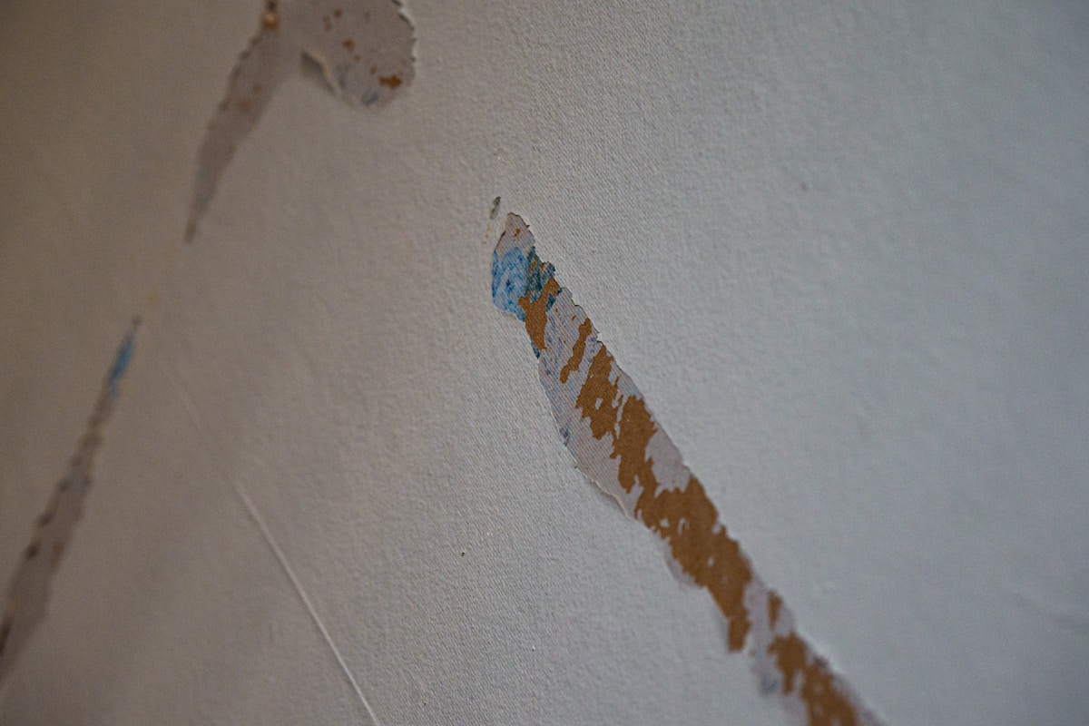 Water Extraction service in Apopka, FL